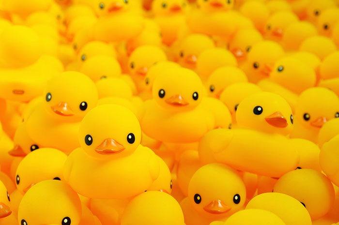 Rubber ducks