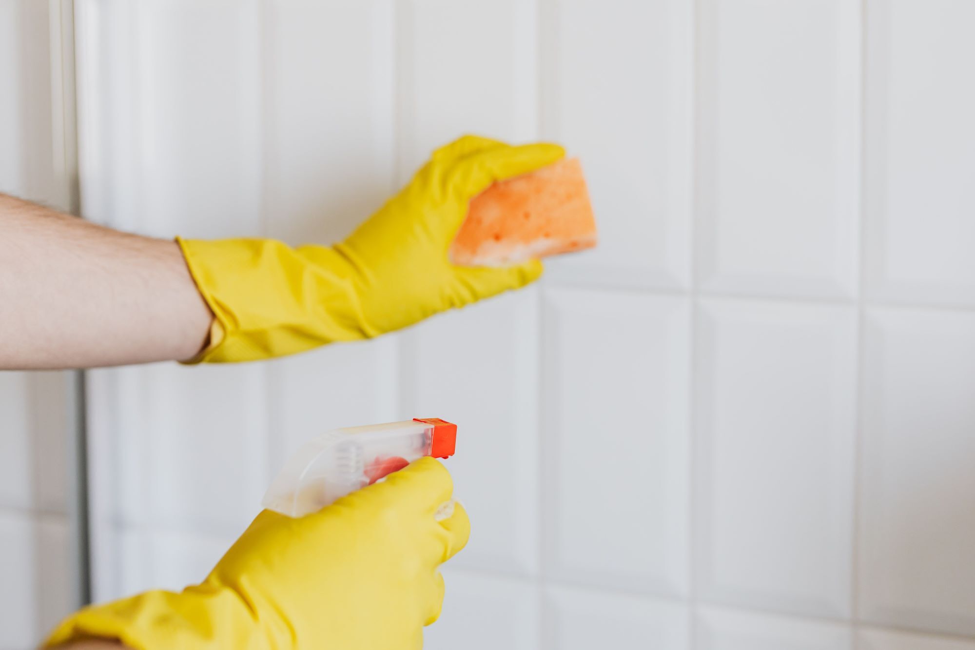 Rubber gloved hands cleaning grout in tiles with a sponge